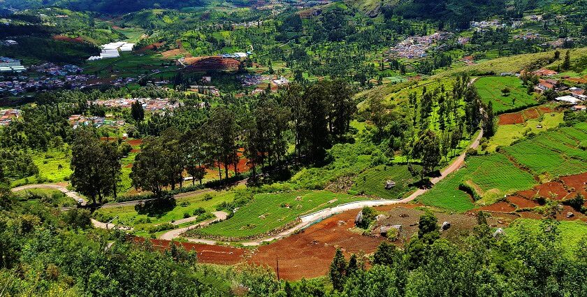 Beautiful view of Ooty, one of the most popular hill stations near Tiruvannamalai