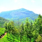 A picture of a lush green terrain, showcasing some of the best hill Stations in Tamil Nadu.