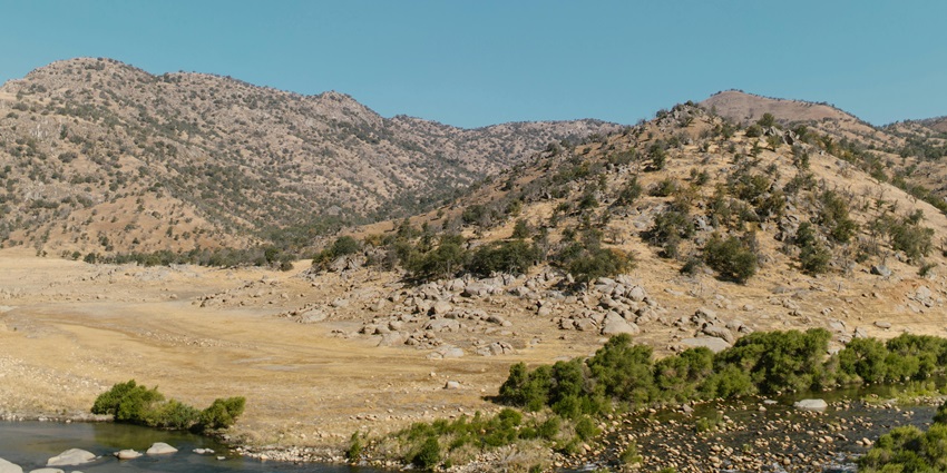 Dry grasslands like that of the Pilibhit National Park spread across huge distances.