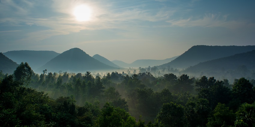 Expansive view of the hilly landscape at Wildlife Sanctuary, with dense green vegetation.