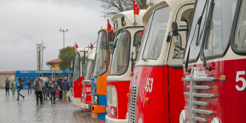 Colourful vintage buses parked in a row, showcasing retro designs against a bright, sunny backdrop