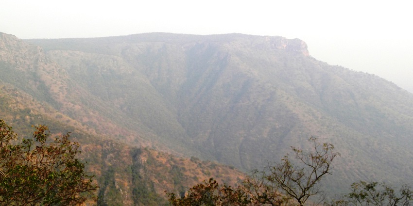 Scenic view of Sathyamangalam Tiger Reserve with lush greenery, hills, and clear sky.