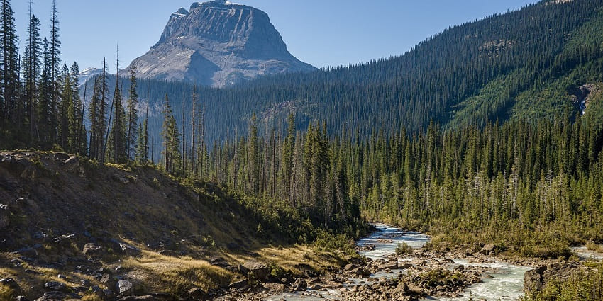 A scenic river flowing through trees and mountains under a clear blue sky