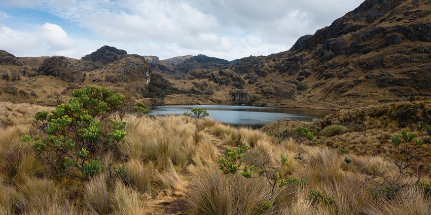 Scenic lake surrounded by wetlands and mountains, creating a peaceful natural landscape
