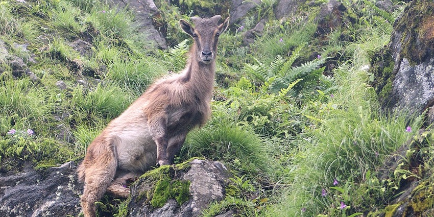 This wilderness gem offers an ideal escape for all wildlife lovers