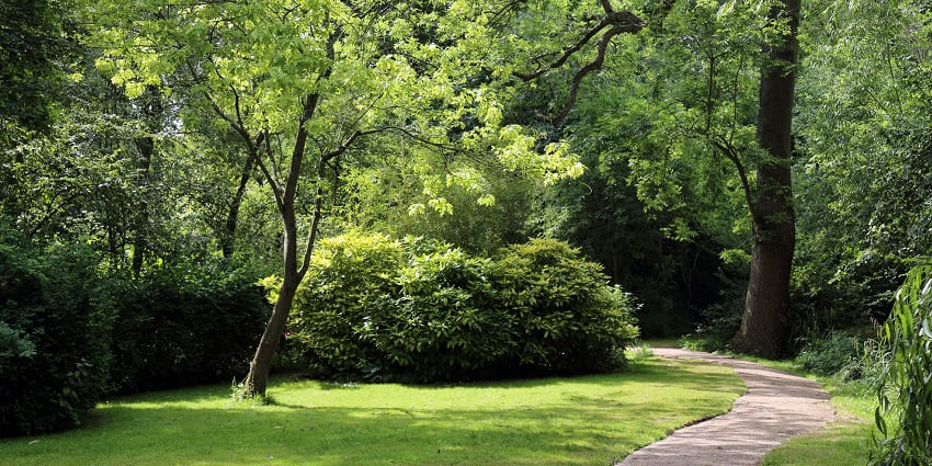 A picture of a walkway at a garden with trees and greenery all around