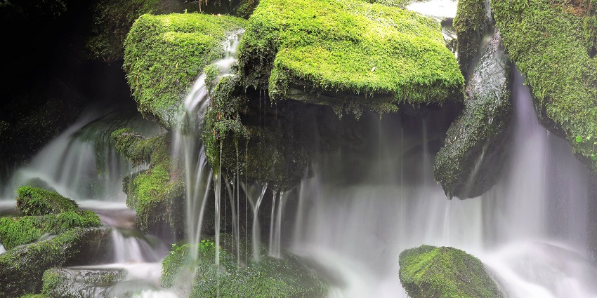 Dense green area around Siruvani Waterfalls while the waterfall creating a pond