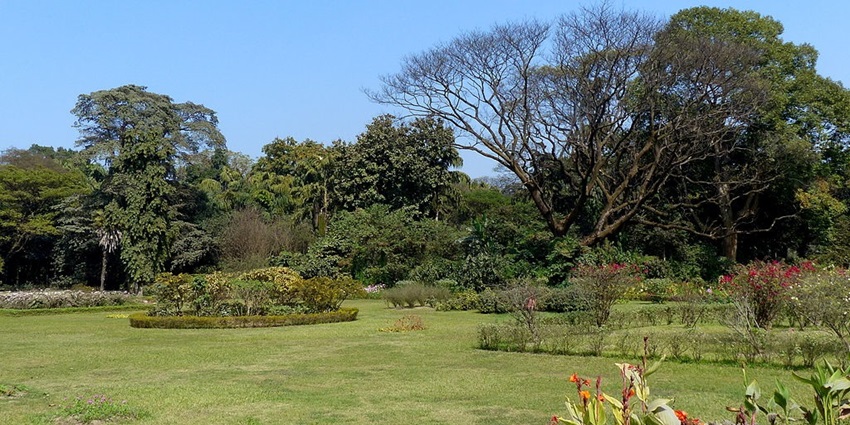 A glimpse of Indian Botanical Garden which houses more than 12,000 plant species.