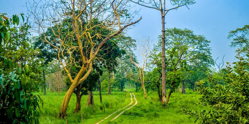 This national park with rich biodiversity is a gem in the foothills of the Eastern Himalayas.