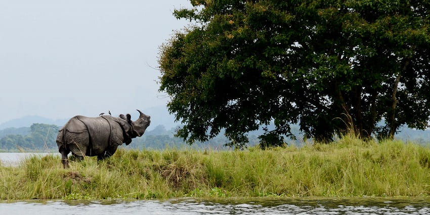 Visitors enjoying photography and safari in one of the offbeat places near Siliguri
