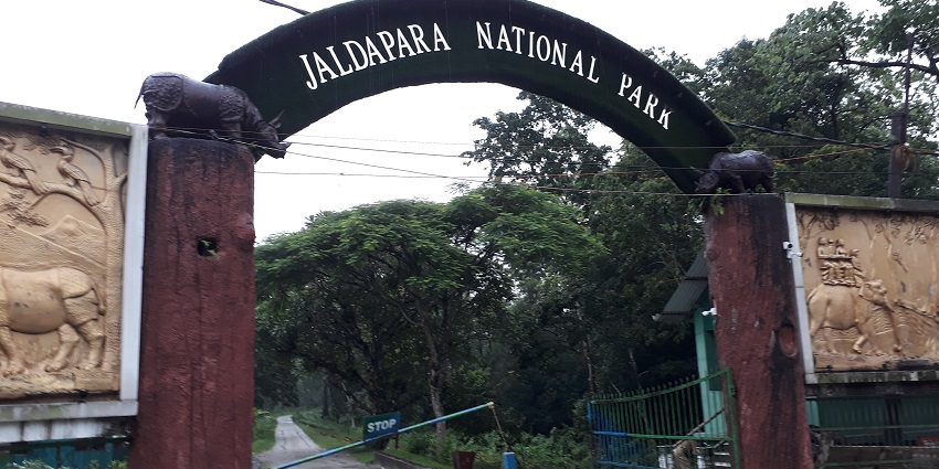 Jaldapara National Park, one of the place to visit in Dooars