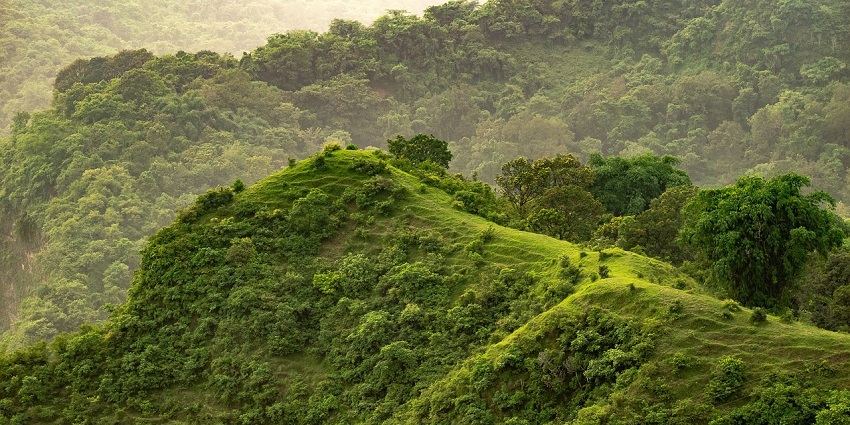 A mesmerising view of lush green landscapes at the Jamadhi Hill in Tamil Nadu.
