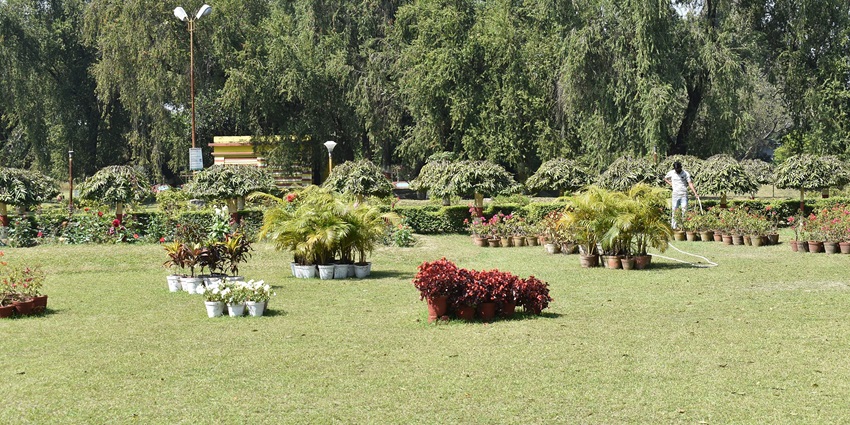 Jawahar Kunja Park has a large grassy area with trees and colourful flowers