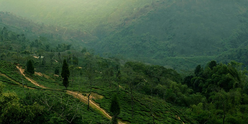Jayanti Hills and River, a place to visit in Dooars, showcases stunning landscapes