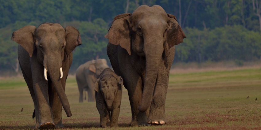 Famous national park known for diverse wildlife and landscapes.