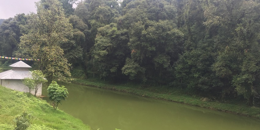 Jore Pokhri Wildlife Sanctuary is a birdwatcher's paradise in West Bengal.