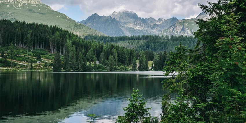 A picture of a scenic lake with greenery and mountains in the background