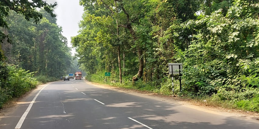 Joypur Forest is an exciting destination among the top places to visit near Kolkata.