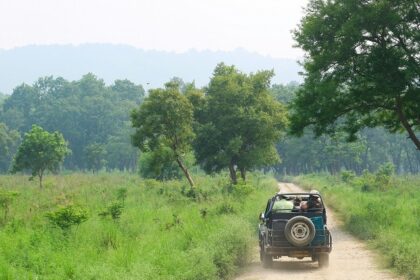 A picture of a route which is very perfect for jungle safari in Maharashtra, India.