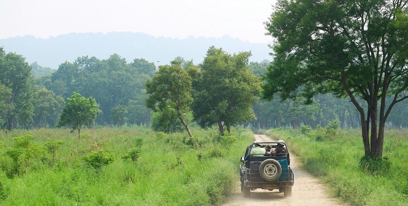 A picture of a route which is very perfect for jungle safari in Maharashtra, India.