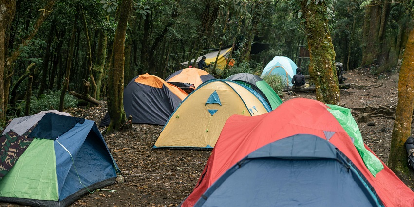 Adventurous camp offering wildlife sightings and nature exploration.