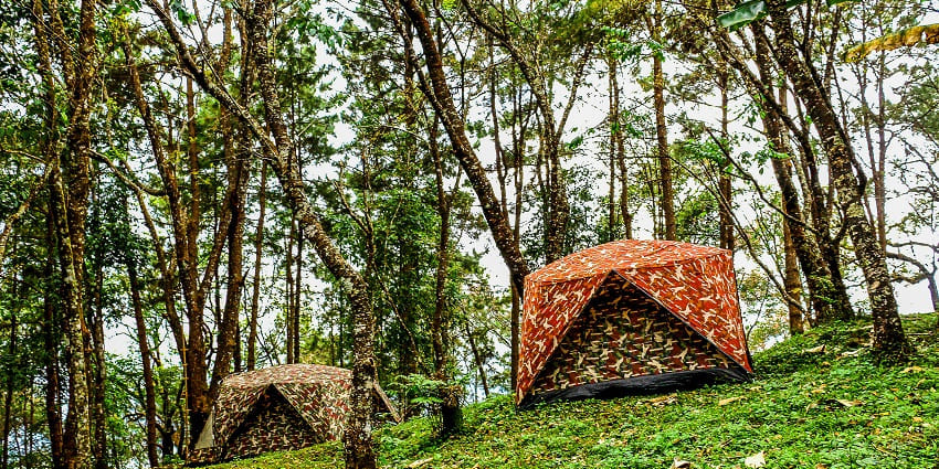 Rustic camping surrounded by forest, ideal for nature enthusiasts.