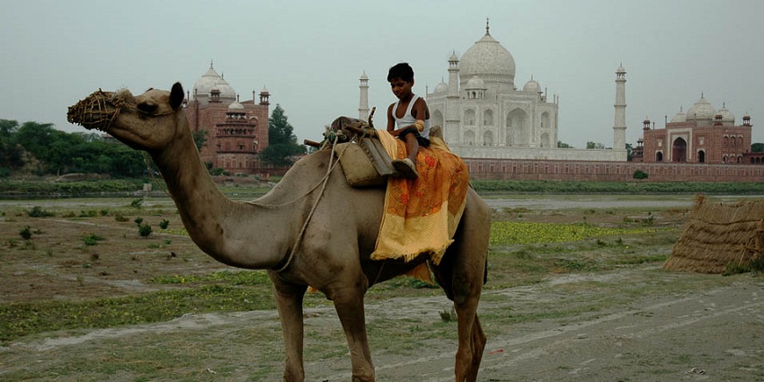 An image of Kachhpura Village, one of the most beautiful places to visit near the Taj Mahal.