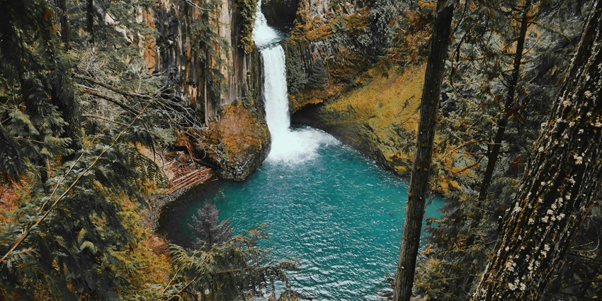 A view of a forest waterfall flowing over moss-covered rocks, surrounded by greenery.