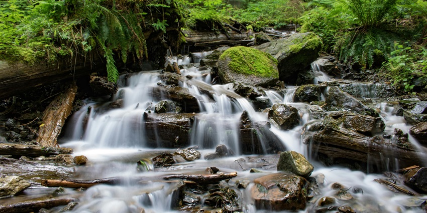 A serene view of flowing falls amid greenery, showcasing one of the best waterfalls near Chennai.