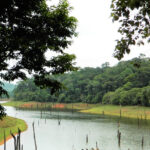 A serene lake surrounded by lush greenery Wildlife Sanctuary, showcasing the natural beauty.