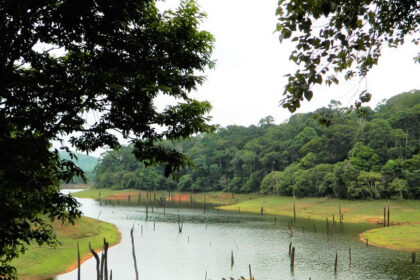 A serene lake surrounded by lush greenery Wildlife Sanctuary, showcasing the natural beauty.