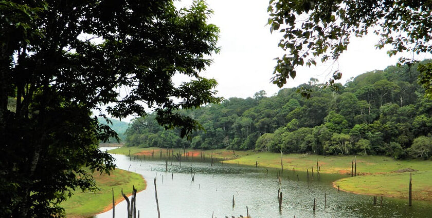 A serene lake surrounded by lush greenery Wildlife Sanctuary, showcasing the natural beauty.