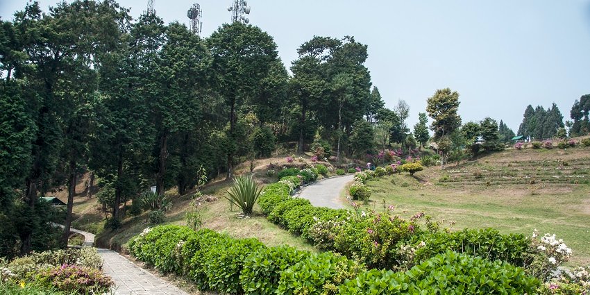 Discover Kalimpong's monasteries, orchids, and scenic beauty in the Himalayas.