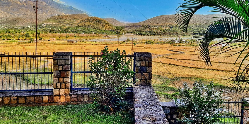 An image showing the ancient Indian inscriptions and rock edicts of Asoka in Kalsi.