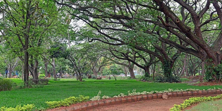 View of the vibrant and lush trails of Nehru park, offering a escape from the city