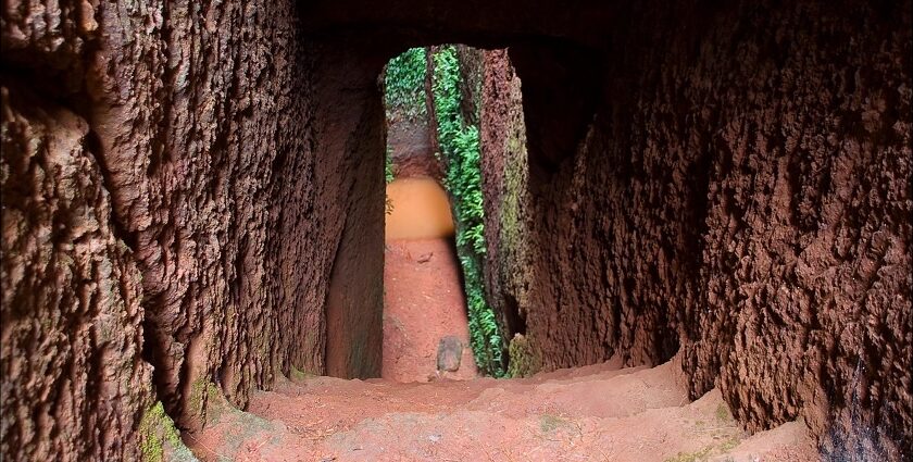 A beautiful view of Kamalgad Fort showing the hilltop location and dense greenery.