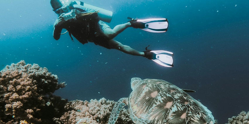 An image of a diver surrounded by coral reefs underwater