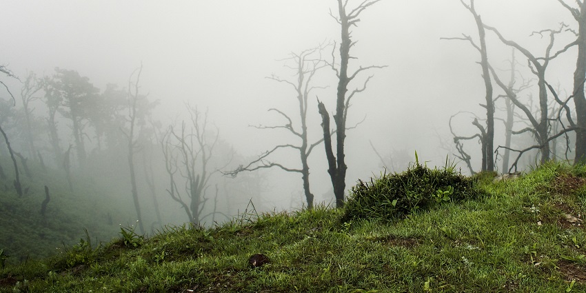 Kanatal is one of the picturesque villages known for its scenic beauty and serenity.
