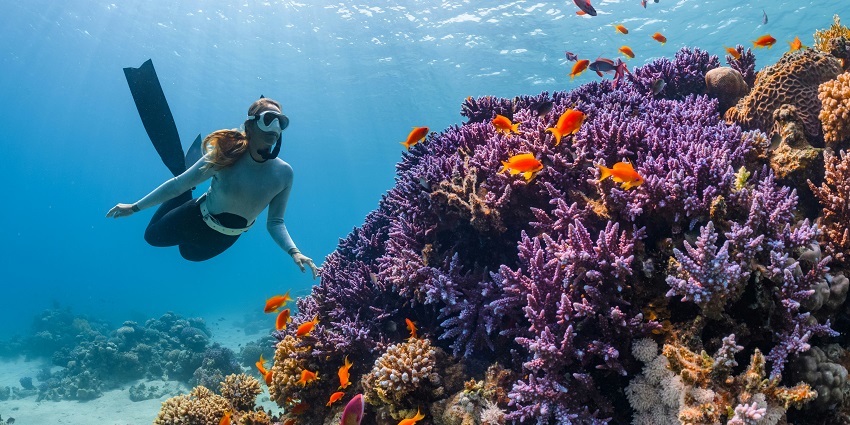 An image of a diver at Kankavli Beach, one of the well known places for scuba diving in Malvan