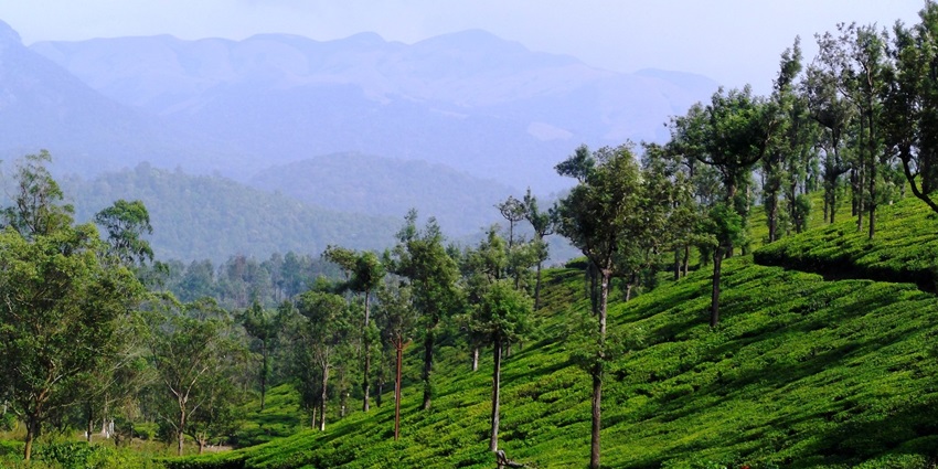 Kannamoochi is a hill station in the list of places to visit in Tirupur, Tamil Nadu.