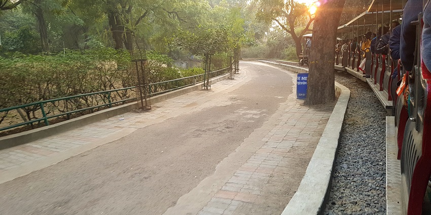 A picture of Kanpur Zoo, where you can discover diverse wildlife with your family.