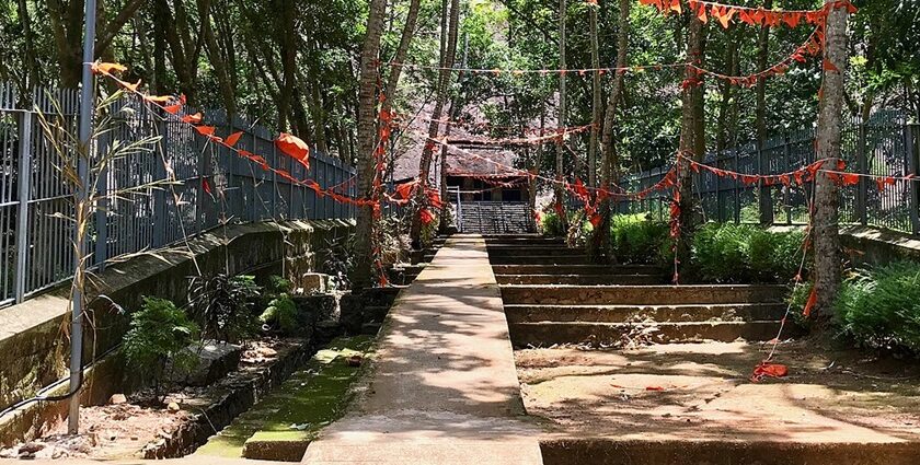 Entrance to the Kanyakumari Wildlife Sanctuary in Kanyakumari district.