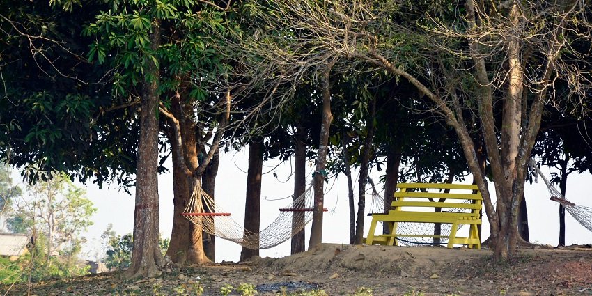 Image of a serene grassland like the Katarniya Ghat Wildlife Division near Lucknow.