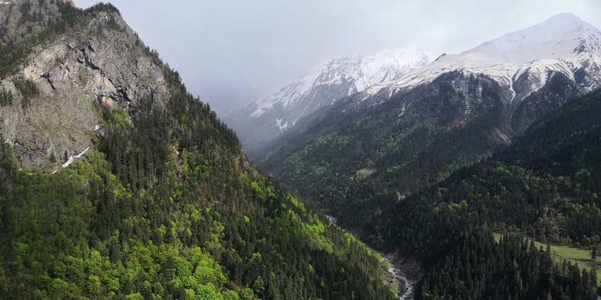 Serene hike through lush forests, perfect for nature enthusiasts.