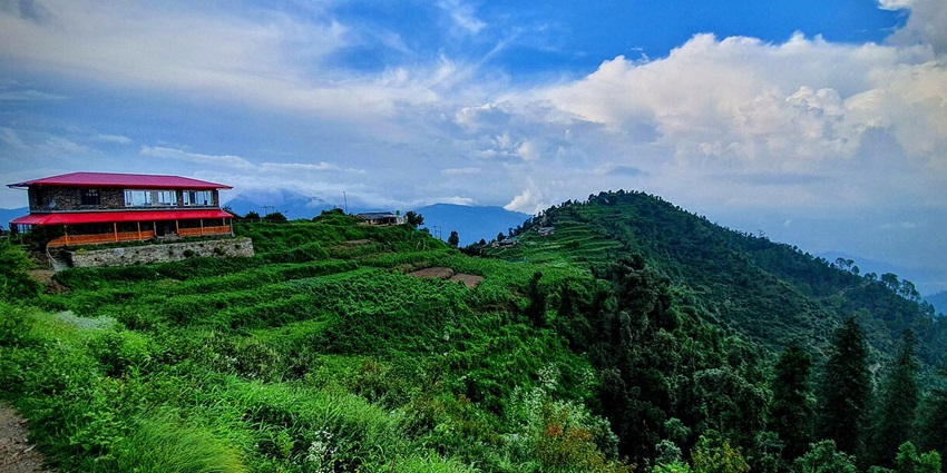 Image of the scenic place to visit near the adventure park, Kaudia Forest