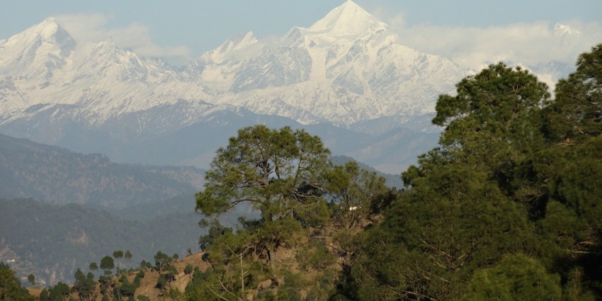 A majestic distant view of the Himalayas from the green hills of Kausani, Uttarakhand