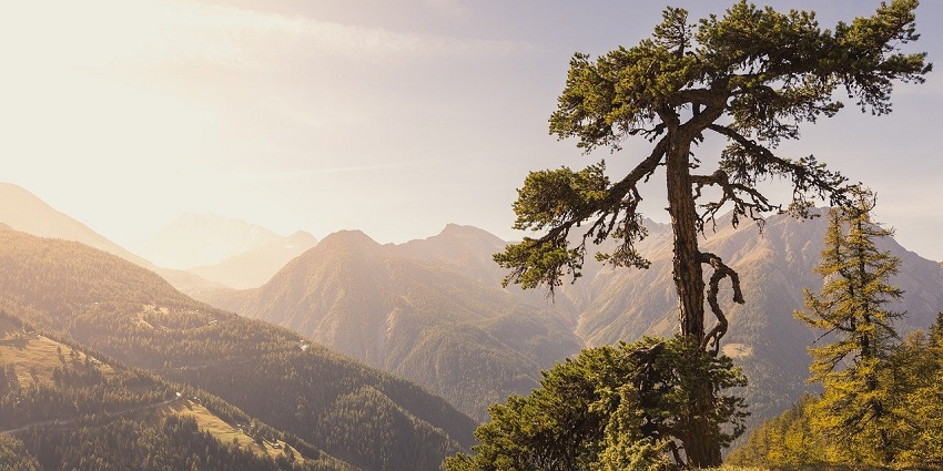 A picture of Kausani’s green hills, one of the best hill stations near Gorakhpur.