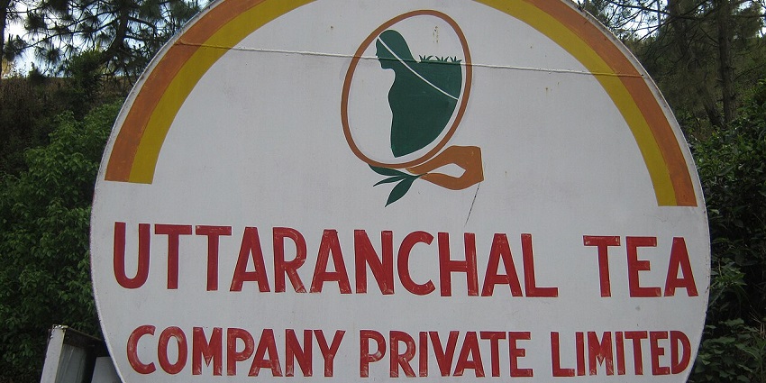The best things to do is visiting tea plantation with tours and panoramic mountain views.