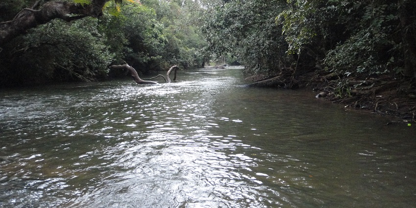 Picturesque island offering nature trails, bamboo groves, and wildlife sightings