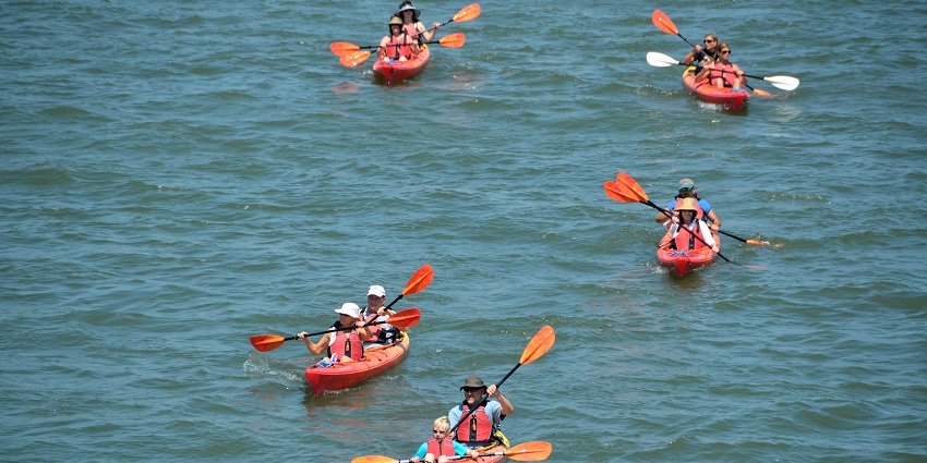 Relaxing paddle sport through scenic waters and natural surroundings